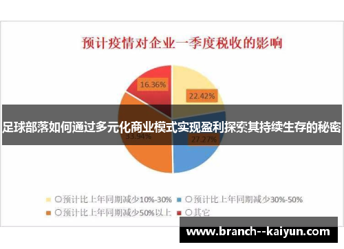 足球部落如何通过多元化商业模式实现盈利探索其持续生存的秘密