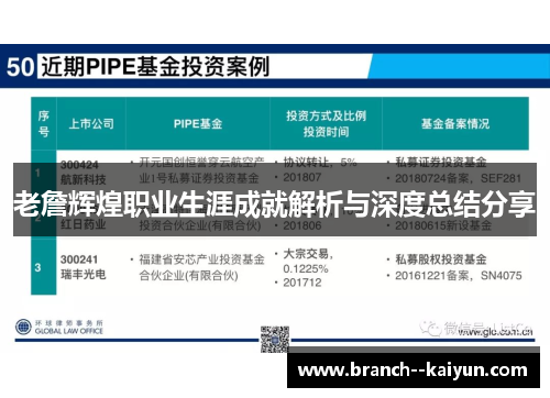 老詹辉煌职业生涯成就解析与深度总结分享