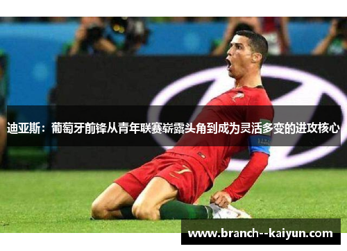 迪亚斯:葡萄牙前锋从青年联赛崭露头角到成为灵活多变的进攻核心 迪亚斯:葡萄牙前锋从青年联赛崭露头角到成为灵活多变的进攻核心