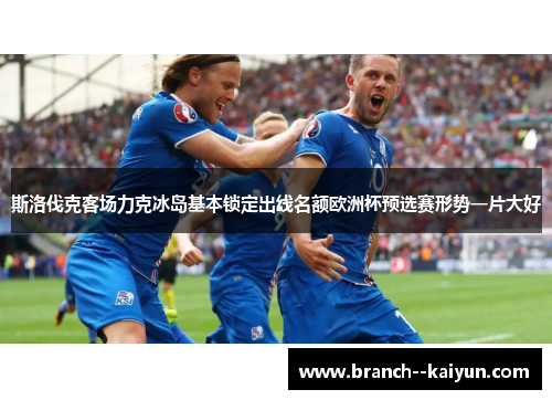 斯洛伐克客场力克冰岛基本锁定出线名额欧洲杯预选赛形势一片大好 斯洛伐克客场力克冰岛基本锁定出线名额欧洲杯预选赛形势一片大好