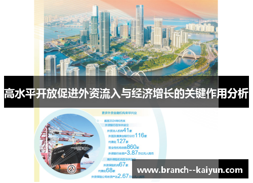 高水平开放促进外资流入与经济增长的关键作用分析