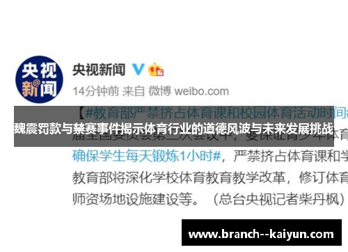 魏震罚款与禁赛事件揭示体育行业的道德风波与未来发展挑战
