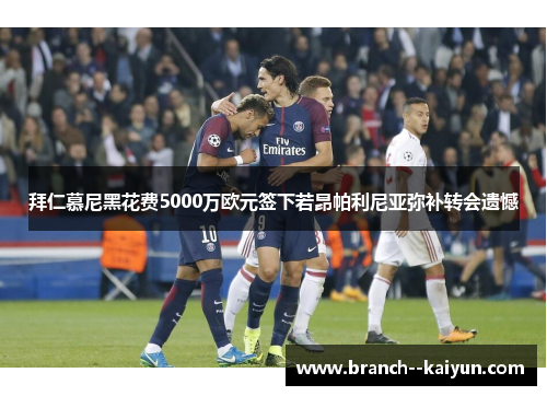 拜仁慕尼黑花费5000万欧元签下若昂帕利尼亚弥补转会遗憾